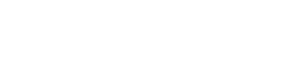 financiado por la union europea